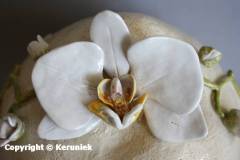 Sierurnen; 023